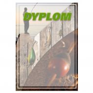 DYPLOM DYP104  / K 13897 - dyp104.jpg