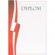DYPLOM DYP111 / K 13681 - dyp111.jpg
