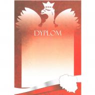 DYPLOM DYP109  / K 13680 - dyp109.jpg