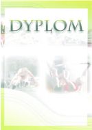 DYPLOM     DYP 92 / 5747 - dyplom_dyp92.jpg