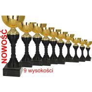 PUCHAR 8489 - puchar_8489.jpg