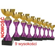 puchar 8490 - puchar_8490.jpg