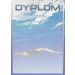 DYPLOM DYP106  / K 12921