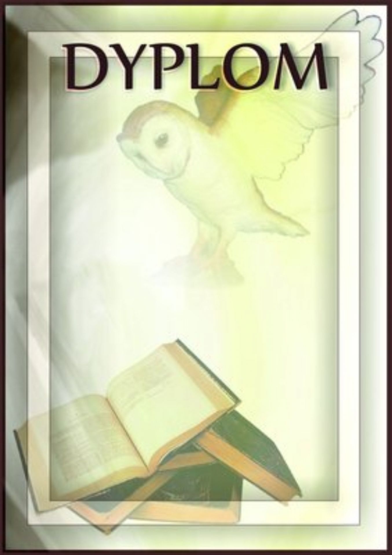 DYPLOM SZKOŁA DYP71/ 5733 - - DYPLOMY PAPIEROWE - TROFEA SPORTOWE.NET